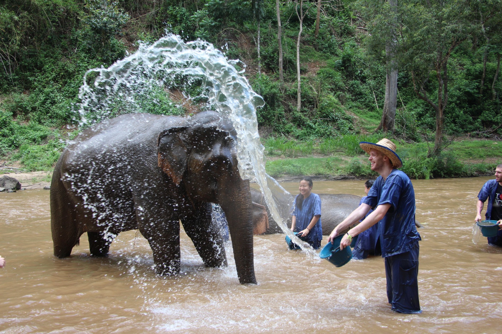 Elephant-Care-Chiang-Mai-Thailand-Siam-Adventures-25
