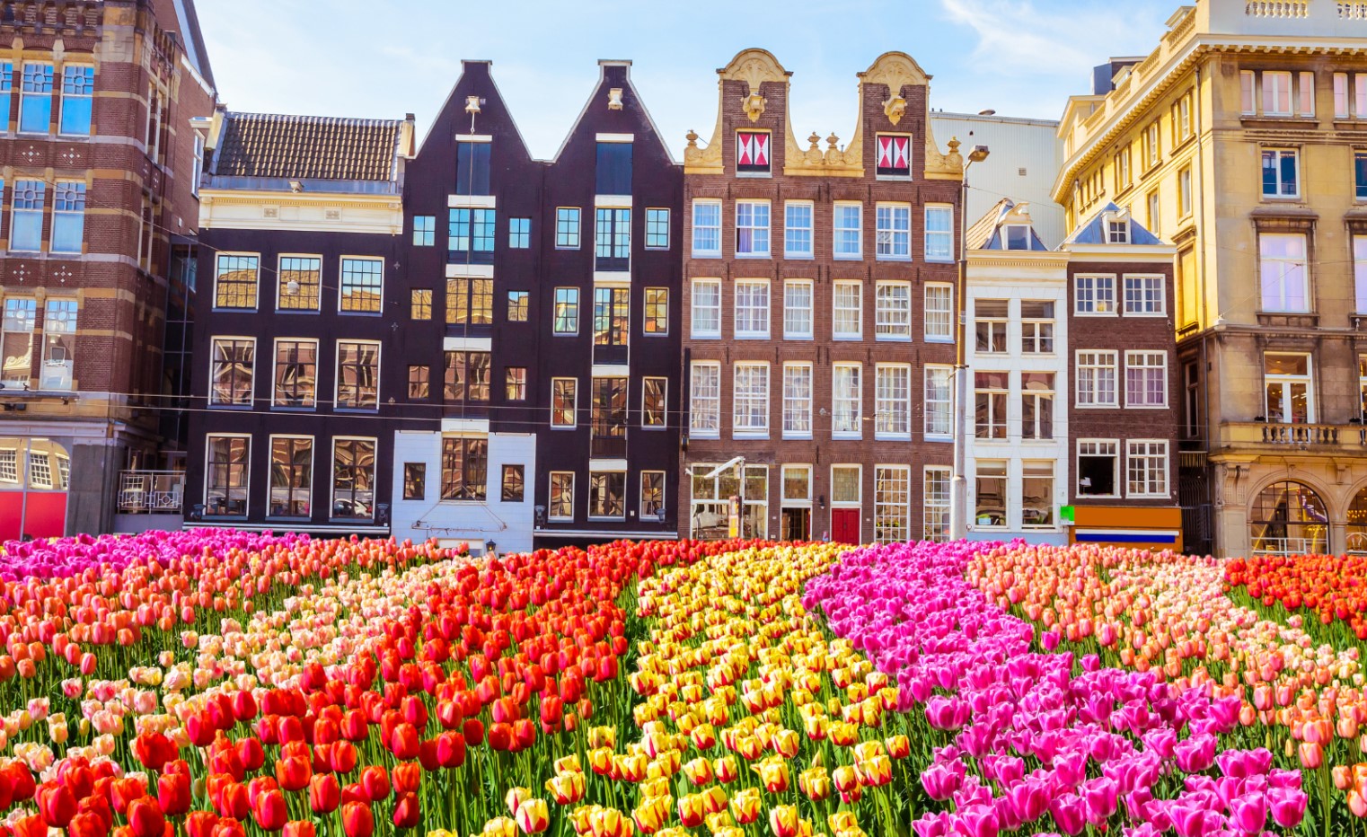 Hollanda