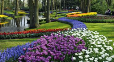 Keukenhof-4