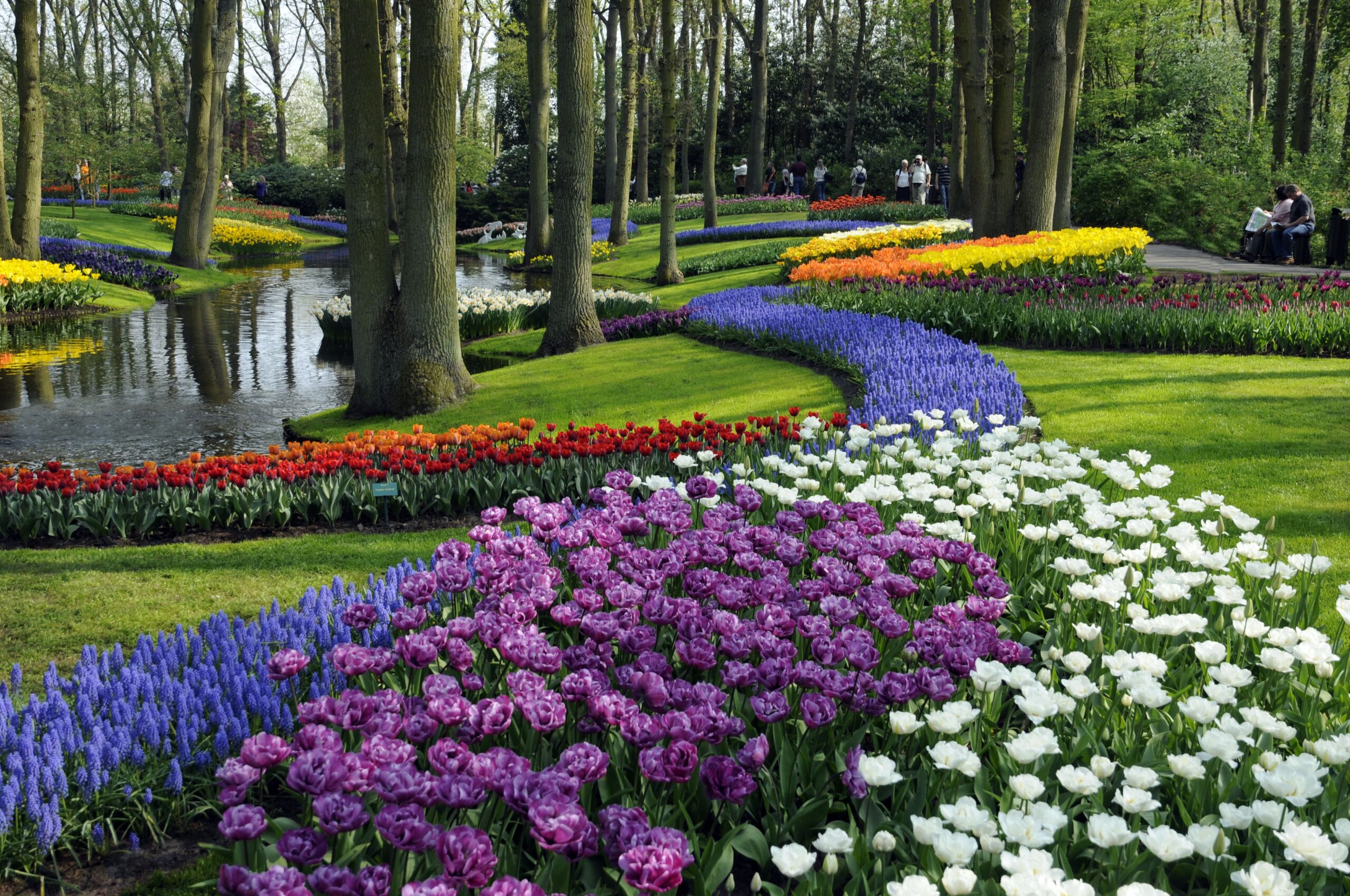 Keukenhof-4