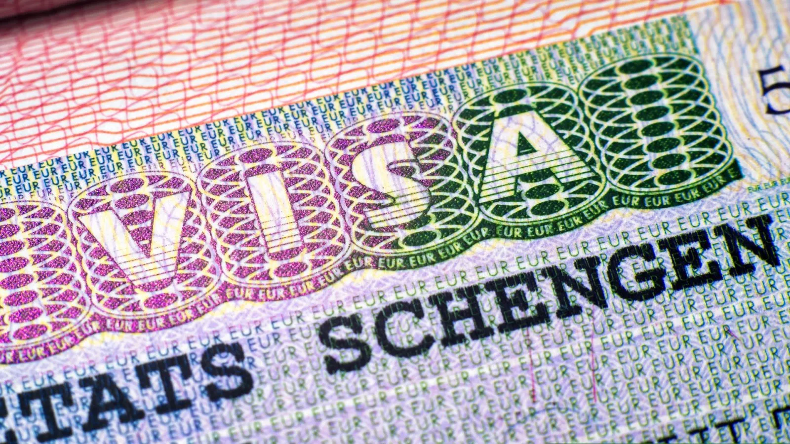 Schengen vizesi önemli bir vize türüdür.