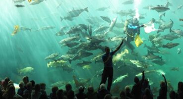 Norveç’in En Güzel 5 Şehri ve Keşfedilecek Noktaları