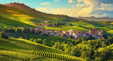 vineyards-in-wine-region-of-piedmont-italy
