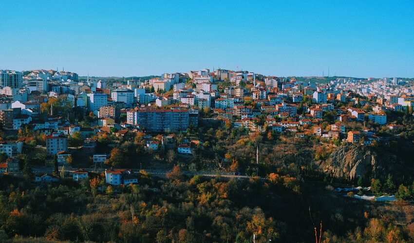 Processed with VSCO with k3 preset